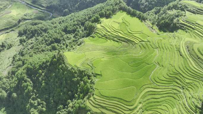 贵州，梯田