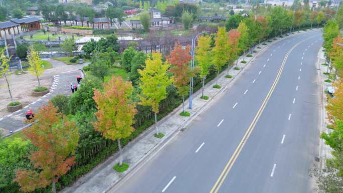 道路秋色  秋风起