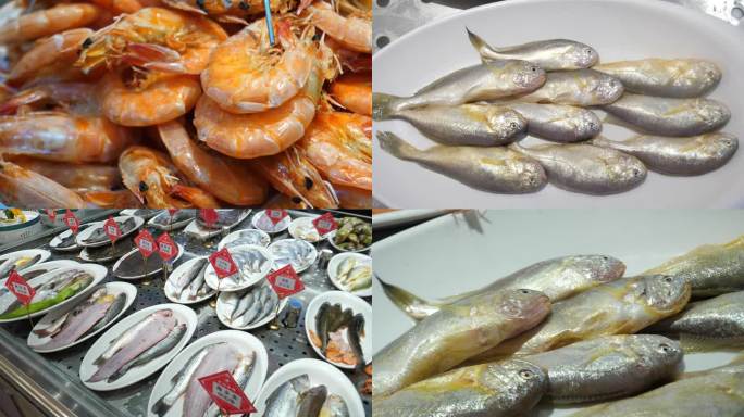 渤海湾特产 渤海湾各种鱼类
