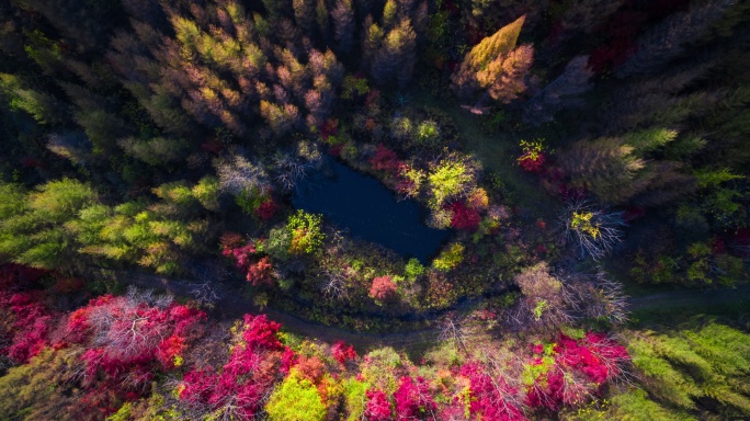 【高清6K】大自然秋景