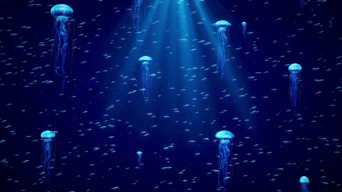 唯美海底水母鱼群粒子