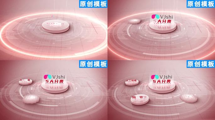 5-商务简洁红色党政分类ae包装五