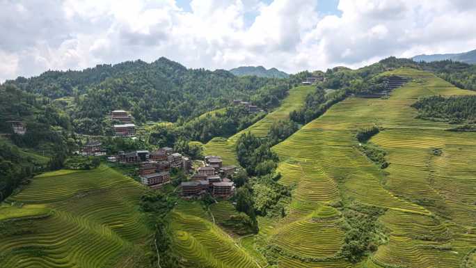 梯田航拍延时