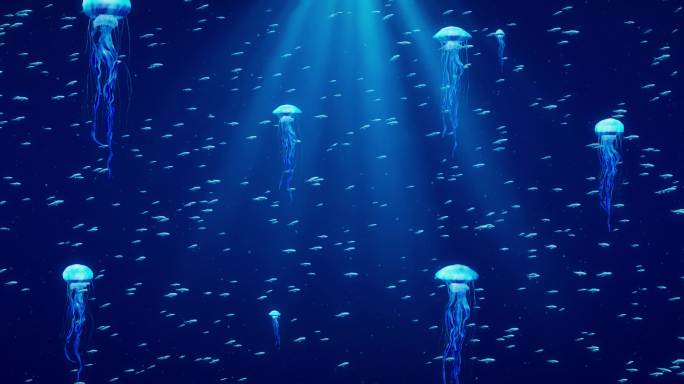8k海底水母鱼群粒子