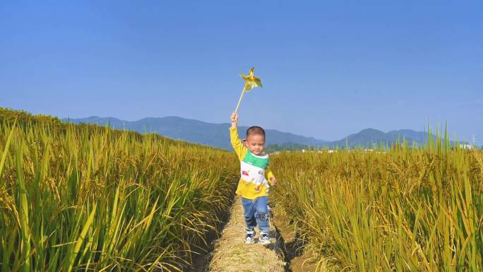 小孩田埂田野奔跑举着风车水稻田幸福快乐