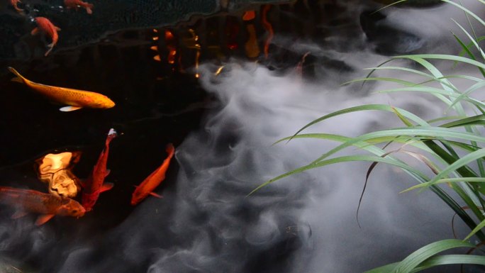 重庆北碚半亩方塘的锦鲤与人造水雾
