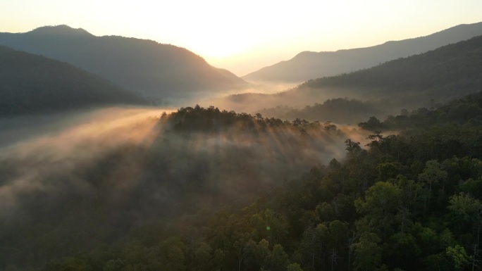 森林上的日出和森林上的移动雾