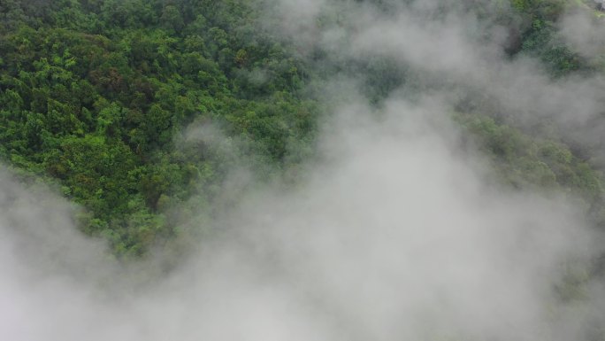 雨后群山烟雨蒙蒙 人间仙境