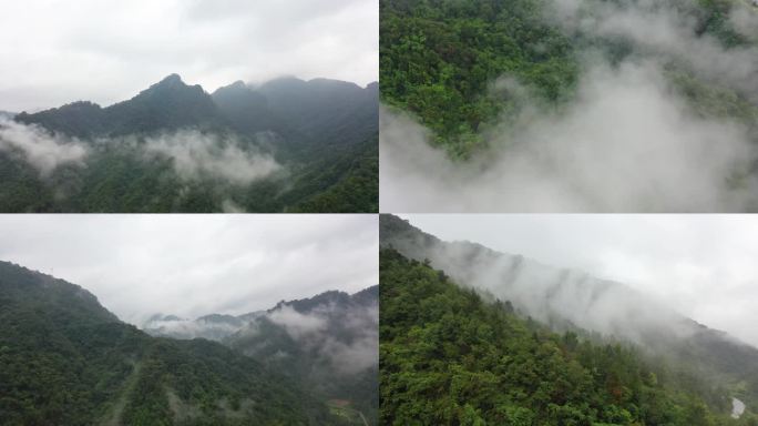 雨后群山烟雨蒙蒙 人间仙境