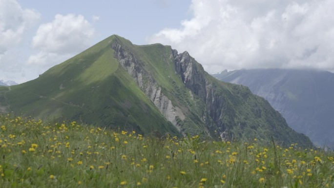 阳光明媚的高山牧场