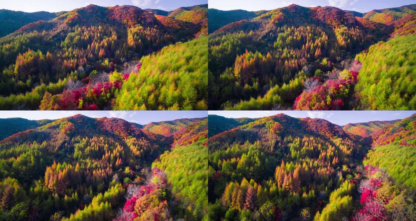 【高清6K】大自然秋景