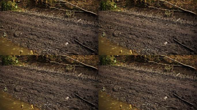 泥泞的轮胎印在伐木的山坡上，小溪在下面缓慢流动