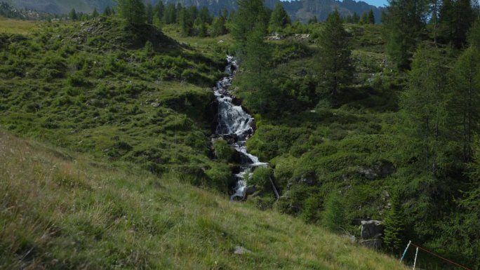 田园诗般的倾斜视图流动的河流在草地中间与针叶树和山的背景。Valmalenco,意大利。
