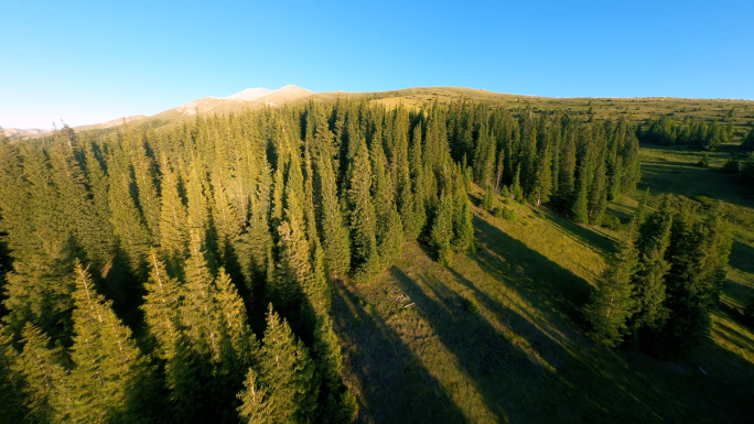 4K航拍新疆壮丽草原山峰秋季果子沟