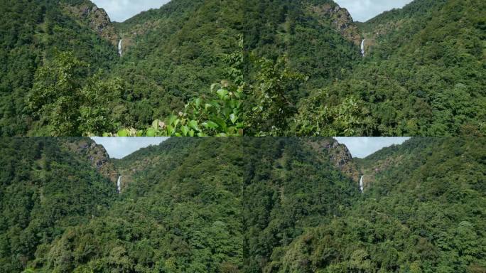 云南风光普洱茶山原始森林瀑布