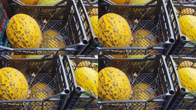 商店柜台上的柳条篮子里装着成熟的黄色有机西瓜