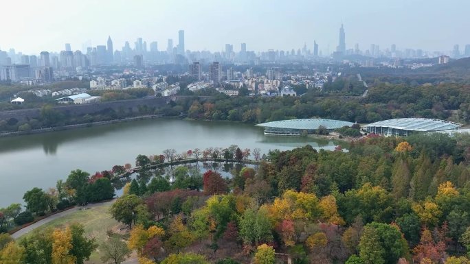 生态环境美如画的植物园