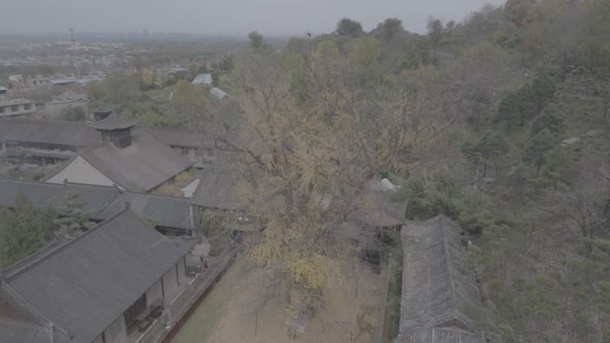 4k西安古观音禅寺高清航拍