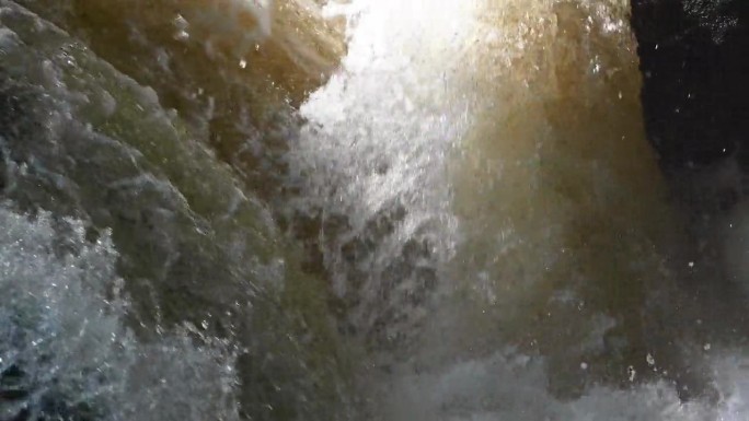 苏格兰布坎蒂喷口，野生大西洋鲑鱼在湍急的水流中跳跃——三脚架拍摄的慢镜头