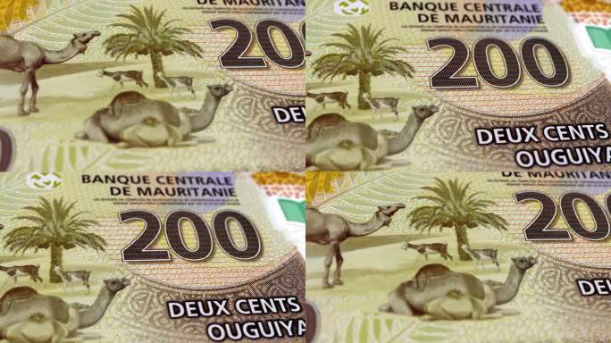 毛里塔尼亚奥古尼亚200张钞票，毛里塔尼亚奥古尼亚200张钞票，毛里塔尼亚奥古尼亚特写和宏观视图，跟
