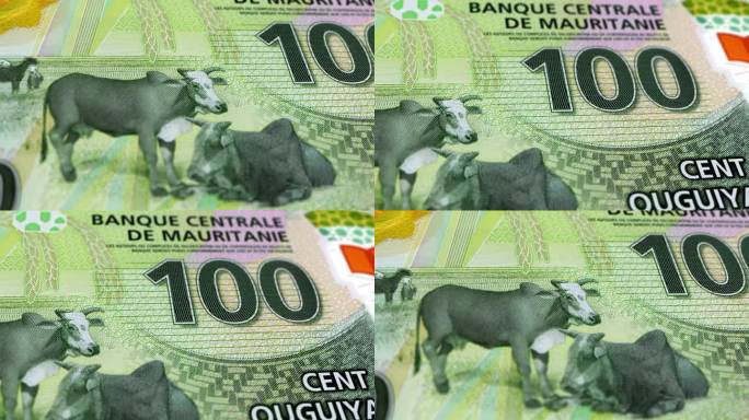 毛里塔尼亚奥古亚100张钞票，毛里塔尼亚奥古亚100张钞票，毛里塔尼亚奥古亚100张钞票，毛里塔尼亚