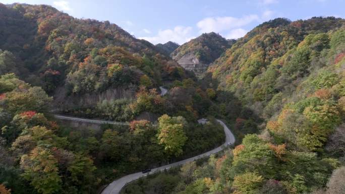 留坝太子岭秋色