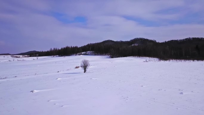 东北黑龙江漠河雪景航拍环绕