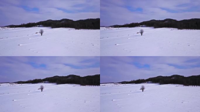 东北黑龙江漠河雪景航拍环绕