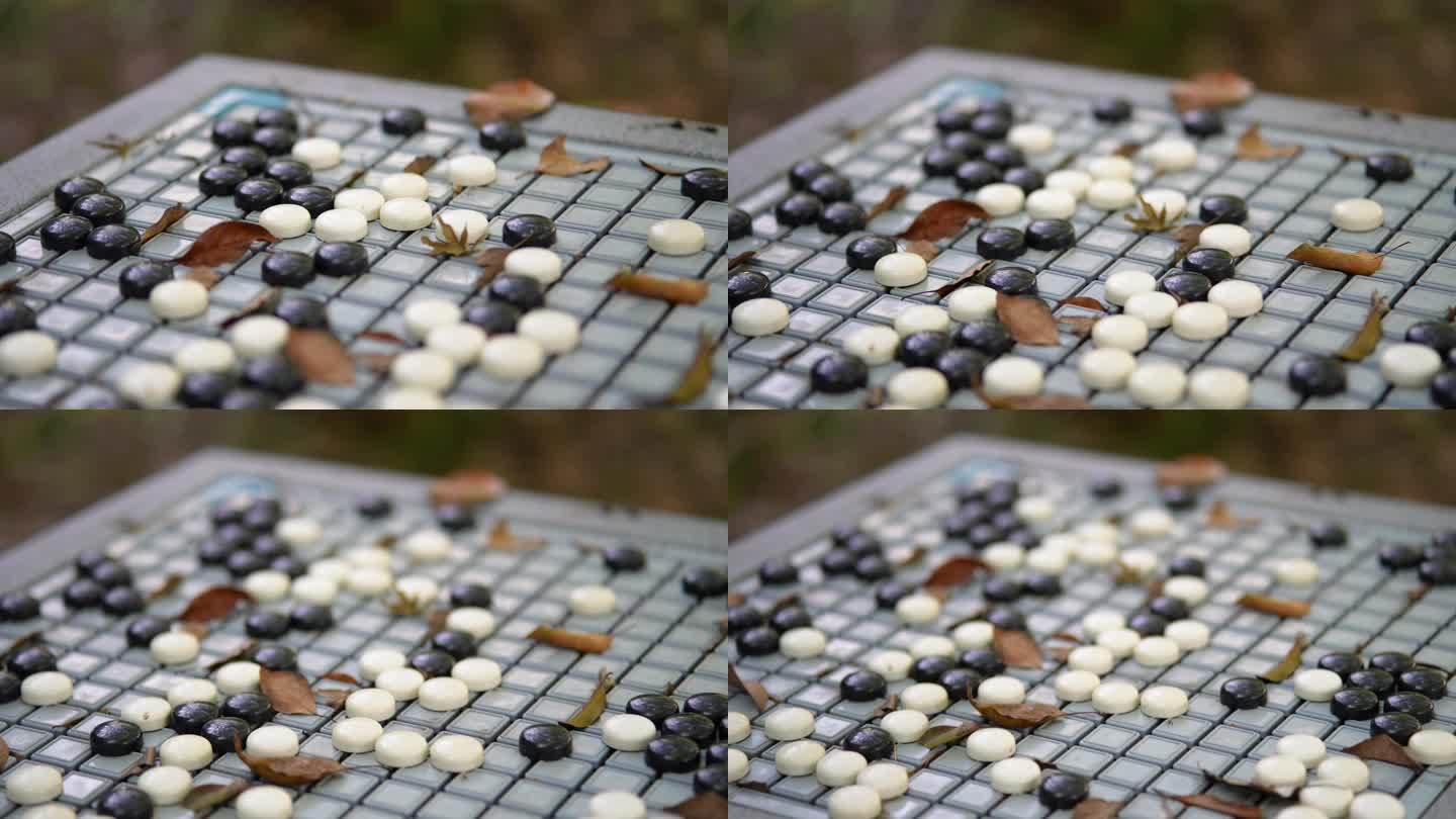 棋盘上的落叶