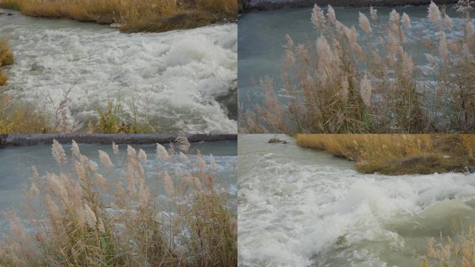 秋天湍急的河水