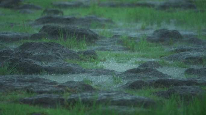 湿地暴风雨