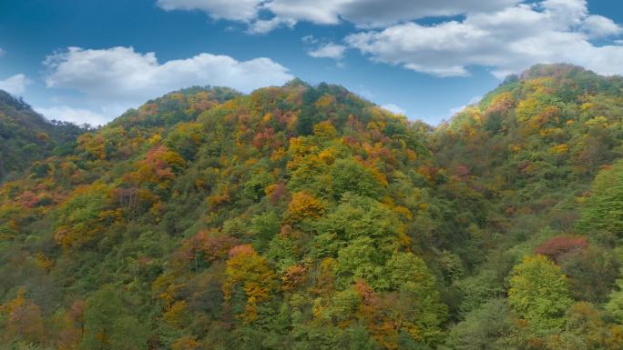 留坝太子岭秋色