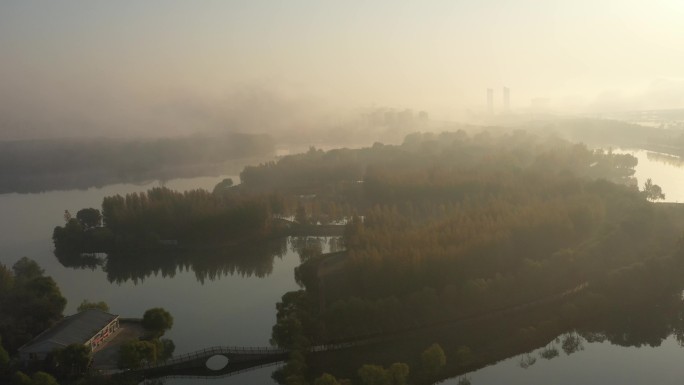 香山湖秋日雾中小景