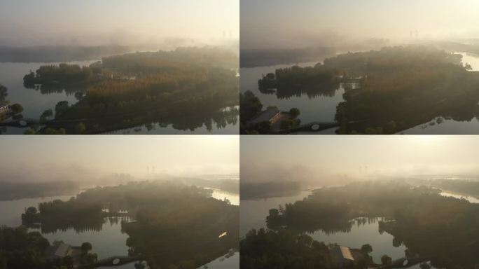 香山湖秋日雾中小景
