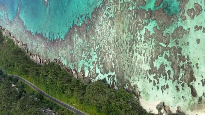 航拍后拉镜头揭示惊人的海岸线，水晶水和热带森林。垂直格式
