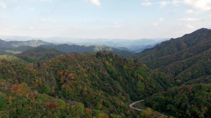 留坝太子岭秋色长