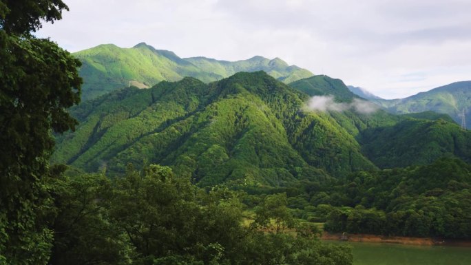 日本四国的原始山地景观