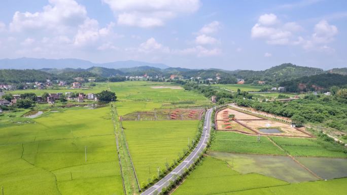 河源龙川四好农村路