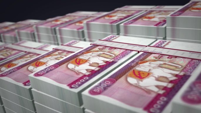 缅甸缅元钞票包成长圈
