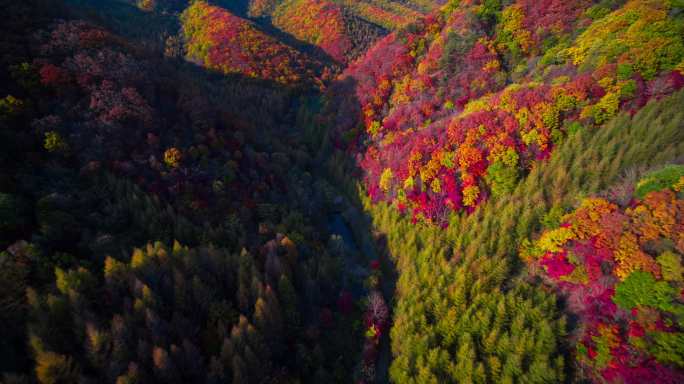 【高清6K】大自然秋景