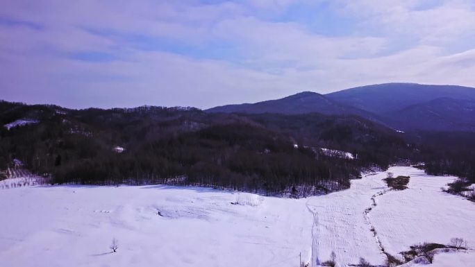 航拍东北黑龙江漠河雪景美丽风光