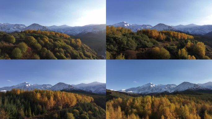 乐都 南山 乐都八景 南山大通道 雪山