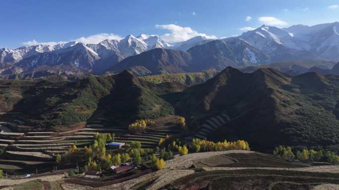 乐都 南山 乐都八景 南山大通道 雪山