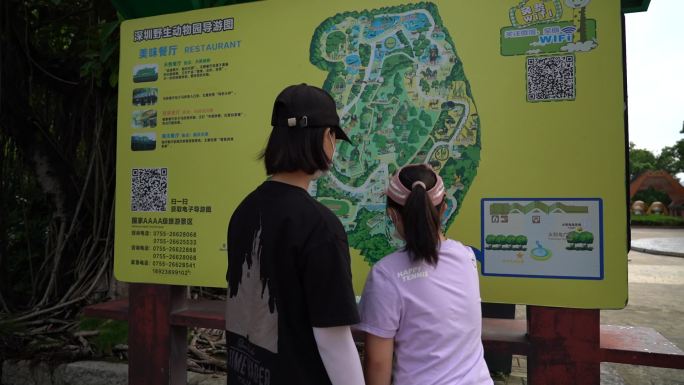 儿童 动物园 动物世界 深圳 学生参观