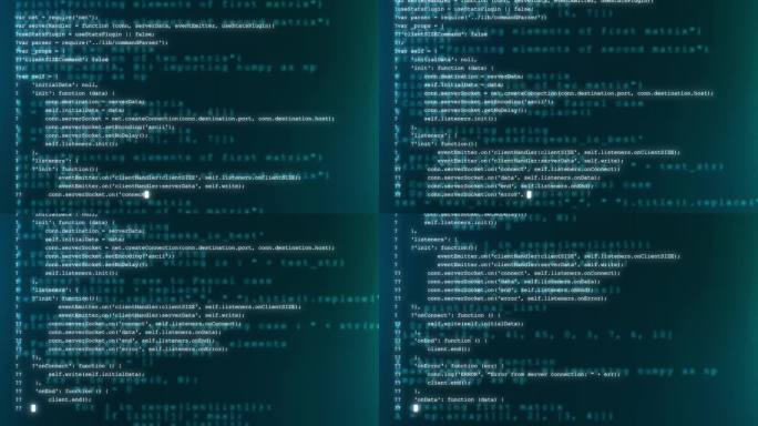 有编程、技术和计算机背景。数字软件源代码。