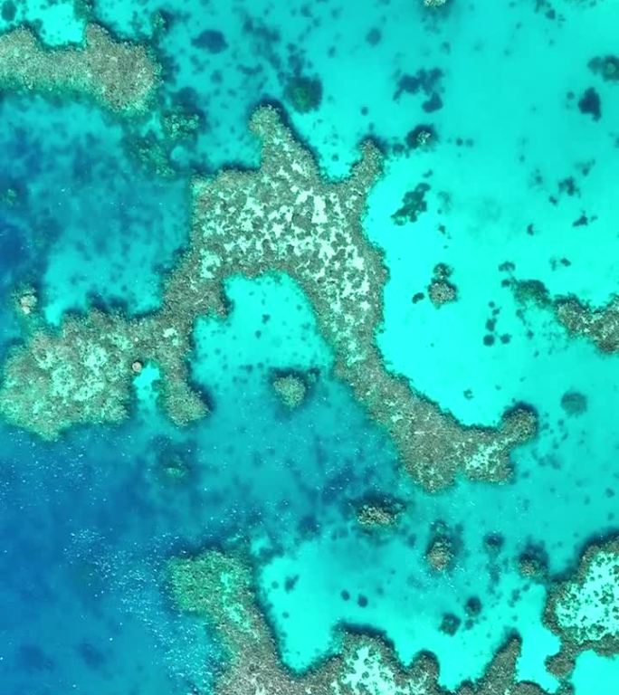 航拍无人机拍摄蓝绿色海水下的珊瑚礁