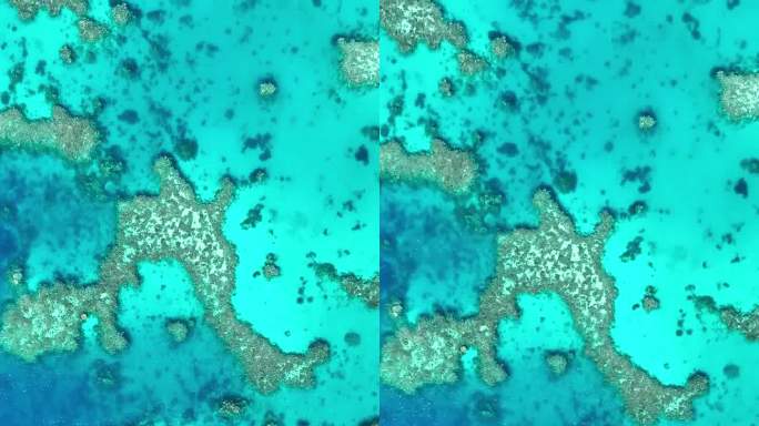 航拍无人机拍摄蓝绿色海水下的珊瑚礁