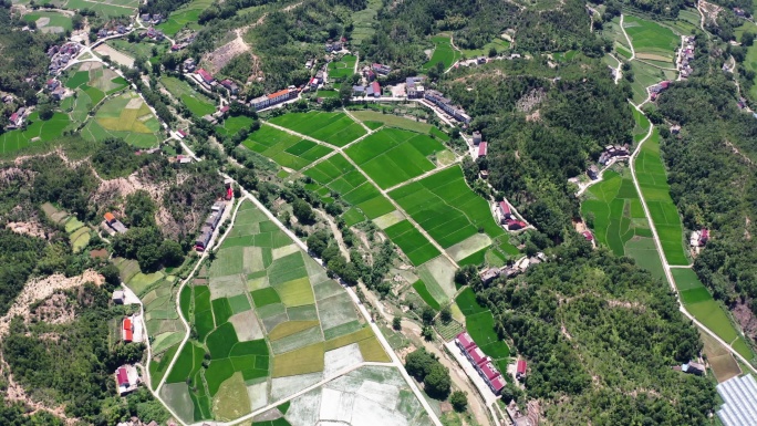 平原农田田园风光小麦地农村航拍