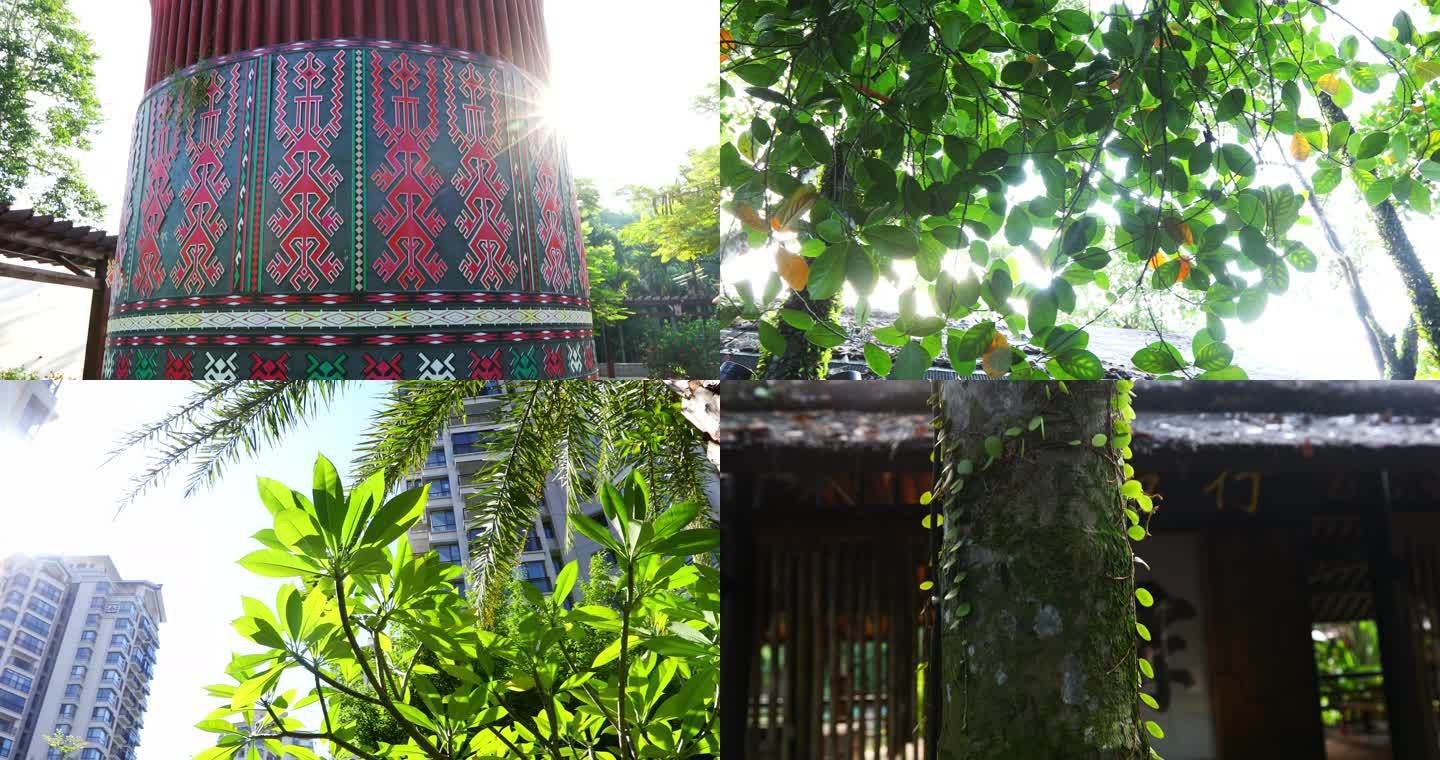4K实拍海南最美乡村美景阳光树叶逆光素材