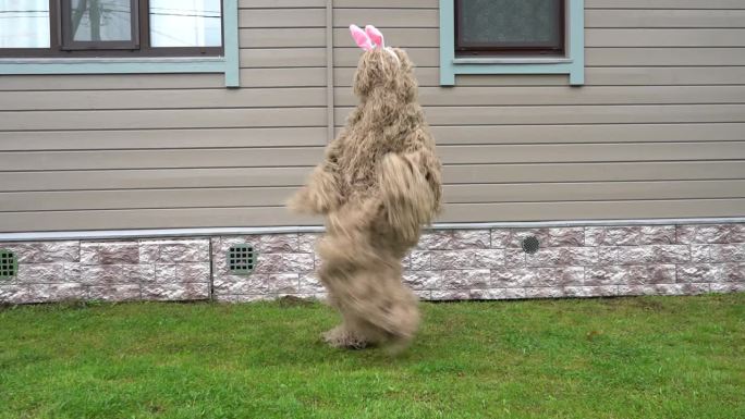 长着兔子耳朵跳舞的毛茸茸的角色。